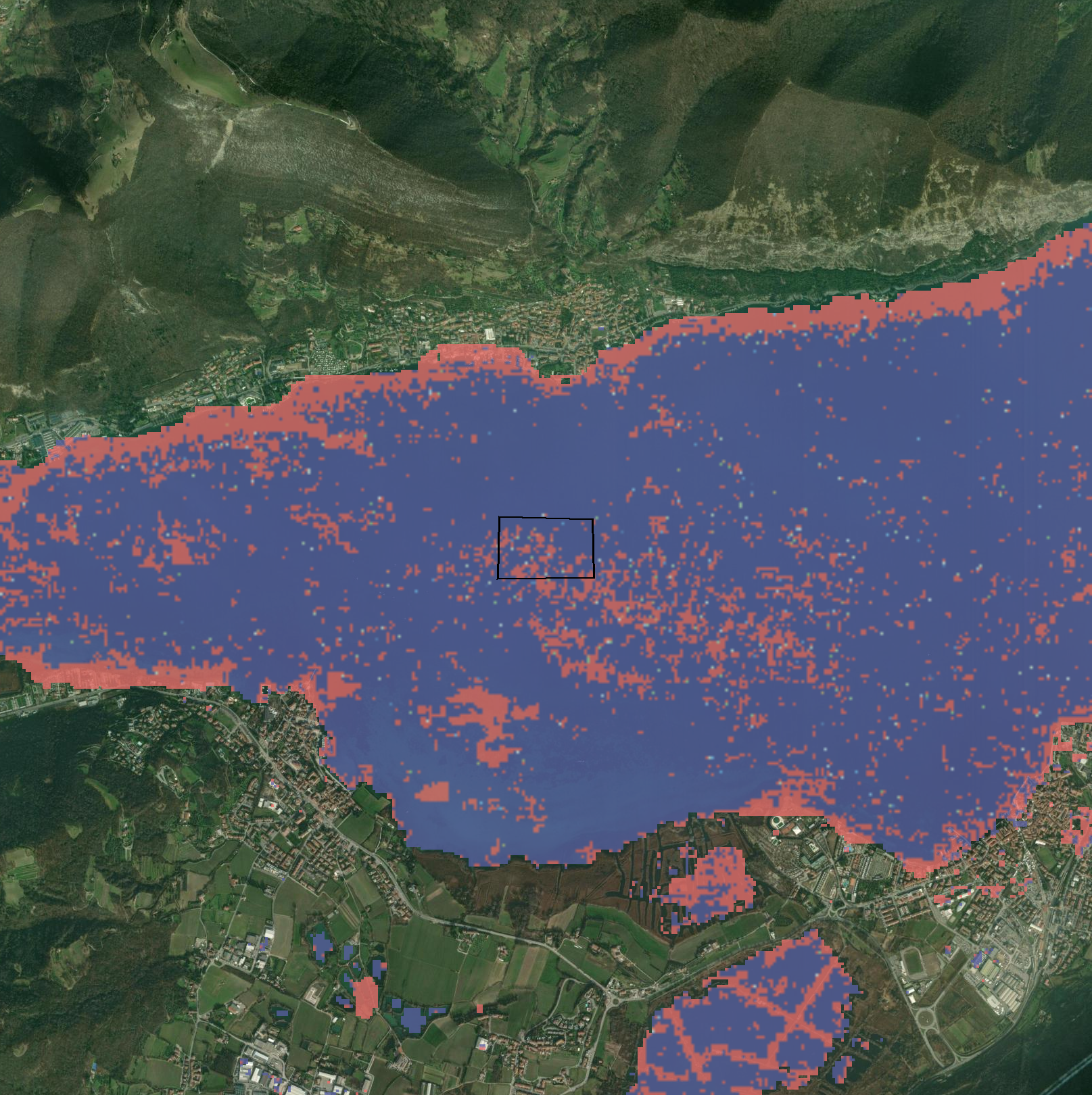 Algas flotantes (FAI)