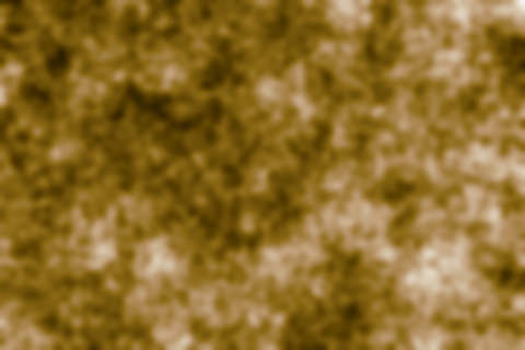 Carbono Orgánico del Suelo