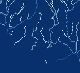 Stream Network