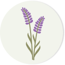 Raro di lavanda