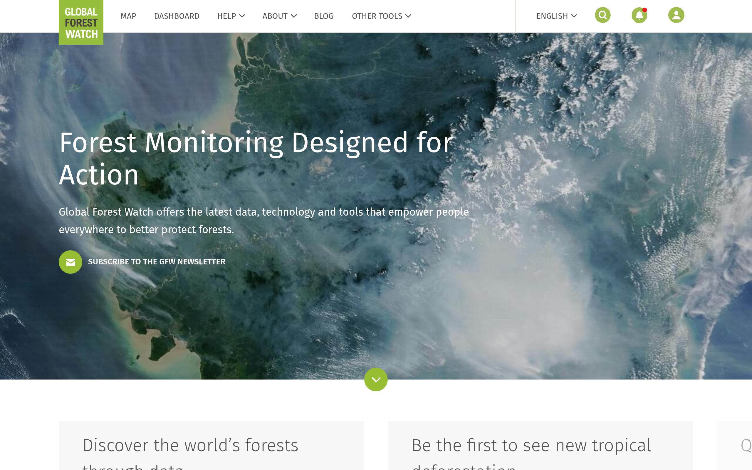 Global Forest Watch